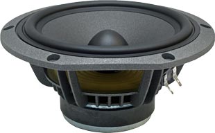 FOCAL 6V3254