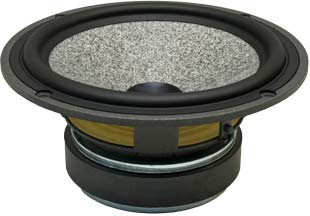 FOCAL 6W4361