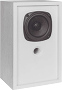 CT 301