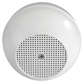 Wall and ceiling speakers: Low-impedance / 100 V, Weatherproof PA ball speaker EDL-412/WS