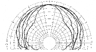 Beyma CP16